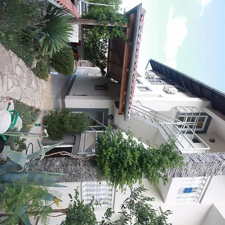 Apartment Jandrok